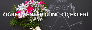 Öğretmenler Günü