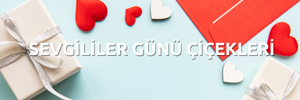 Sevgililer Günü